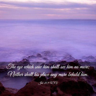Picture 03 - Job 20:9 ASV - The eye which saw him shall see him no more; - Bible Verse Picture