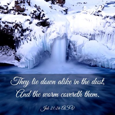 Picture 03 - Job 21:26 ASV - They lie down alike in the dust, And the worm - Bible Verse Picture