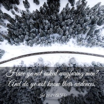 Picture 03 - Job 21:29 ASV - Have ye not asked wayfaring men? And do ye not - Bible Verse Picture