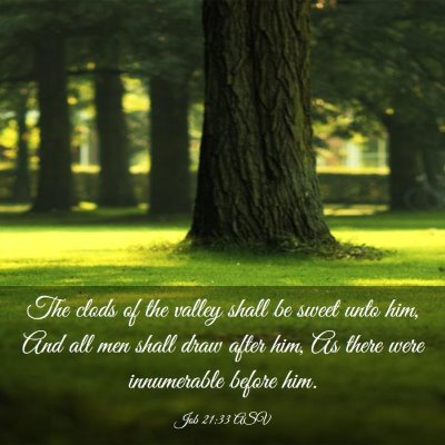 Picture 03 - Job 21:33 ASV - The clods of the valley shall be sweet unto him, - Bible Verse Picture