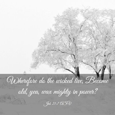 Picture 03 - Job 21:7 ASV - Wherefore do the wicked live, Become old, yea, - Bible Verse Picture