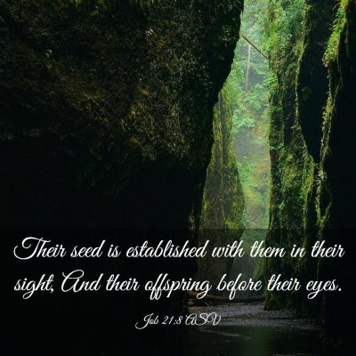 Picture 03 - Job 21:8 ASV - Their seed is established with them in their - Bible Verse Picture
