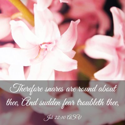 Picture 03 - Job 22:10 ASV - Therefore snares are round about thee, And sudden - Bible Verse Picture