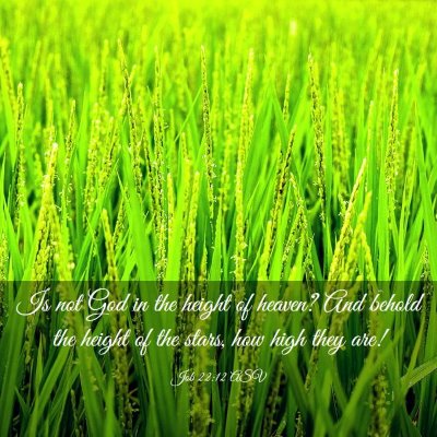 Picture 03 - Job 22:12 ASV - Is not God in the height of heaven? And behold - Bible Verse Picture
