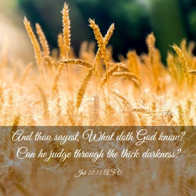 Picture 03 - Job 22:13 ASV - And thou sayest, What doth God know? Can he judge - Bible Verse Picture