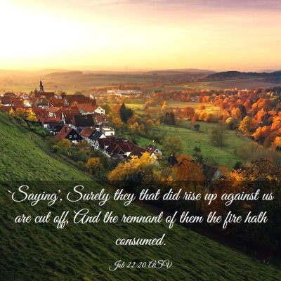 Picture 03 - Job 22:20 ASV - `Saying', Surely they that did rise up against us - Bible Verse Picture