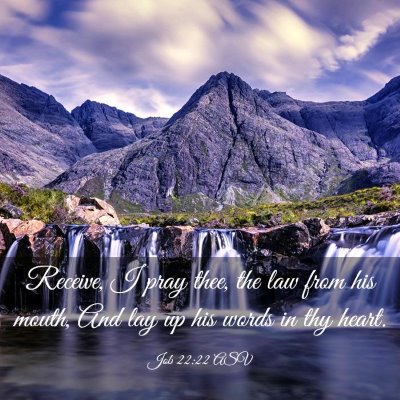 Picture 03 - Job 22:22 ASV - Receive, I pray thee, the law from his mouth, And - Bible Verse Picture