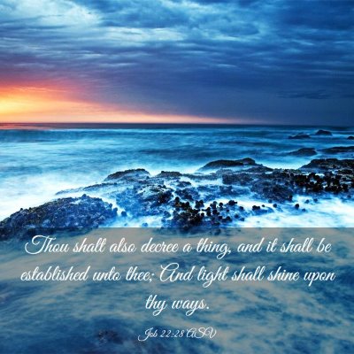 Picture 03 - Job 22:28 ASV - Thou shalt also decree a thing, and it shall be - Bible Verse Picture