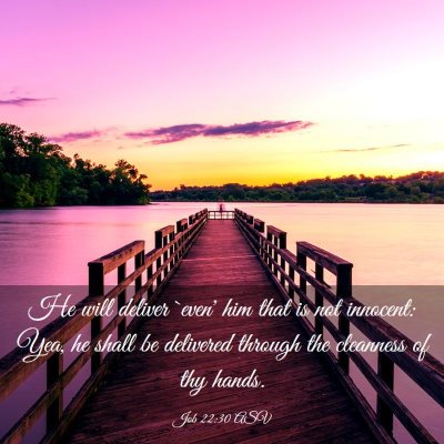 Picture 03 - Job 22:30 ASV - He will deliver `even' him that is not innocent: - Bible Verse Picture