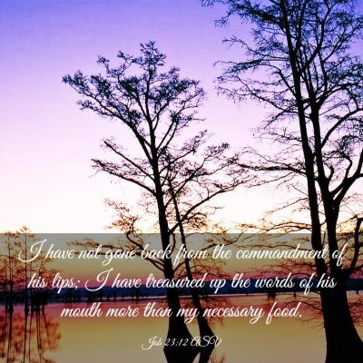 Picture 03 - Job 23:12 ASV - I have not gone back from the commandment of his - Bible Verse Picture