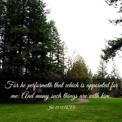 Picture 03 - Job 23:14 ASV - For he performeth that which is appointed for me: - Bible Verse Picture