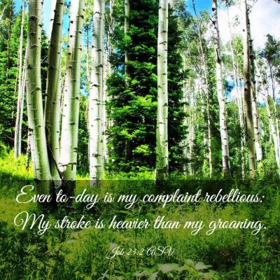 Picture 03 - Job 23:2 ASV - Even to-day is my complaint rebellious: My stroke - Bible Verse Picture
