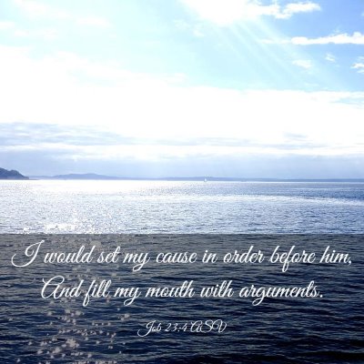 Picture 03 - Job 23:4 ASV - I would set my cause in order before him, And - Bible Verse Picture
