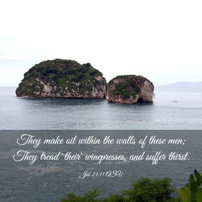 Picture 03 - Job 24:11 ASV - They make oil within the walls of these men; They - Bible Verse Picture