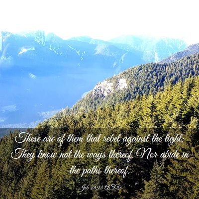 Picture 03 - Job 24:13 ASV - These are of them that rebel against the light; - Bible Verse Picture