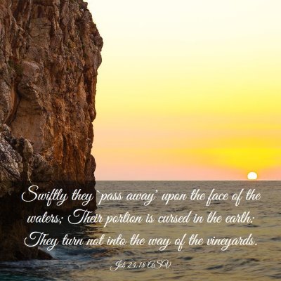 Picture 03 - Job 24:18 ASV - Swiftly they `pass away' upon the face of the - Bible Verse Picture