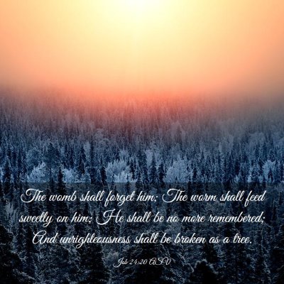 Picture 03 - Job 24:20 ASV - The womb shall forget him; The worm shall feed - Bible Verse Picture