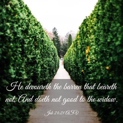 Picture 03 - Job 24:21 ASV - He devoureth the barren that beareth not, And - Bible Verse Picture