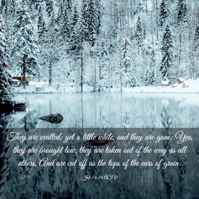 Picture 03 - Job 24:24 ASV - They are exalted; yet a little while, and they - Bible Verse Picture