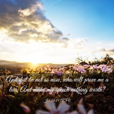 Picture 03 - Job 24:25 ASV - And if it be not so now, who will prove me a - Bible Verse Picture