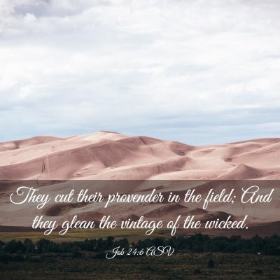 Picture 03 - Job 24:6 ASV - They cut their provender in the field; And they - Bible Verse Picture