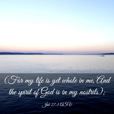 Picture 03 - Job 27:3 ASV - (For my life is yet whole in me, And the spirit - Bible Verse Picture