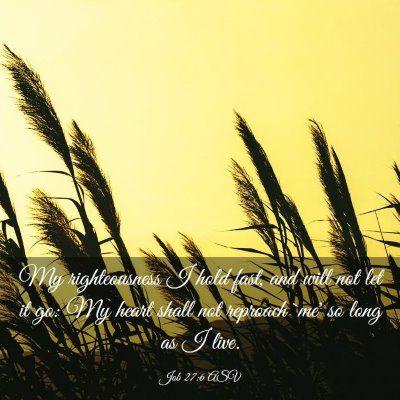 Picture 03 - Job 27:6 ASV - My righteousness I hold fast, and will not let it - Bible Verse Picture