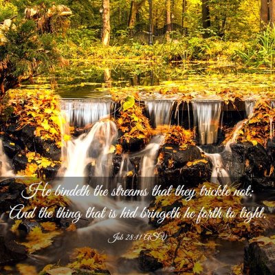 Picture 03 - Job 28:11 ASV - He bindeth the streams that they trickle not; And - Bible Verse Picture
