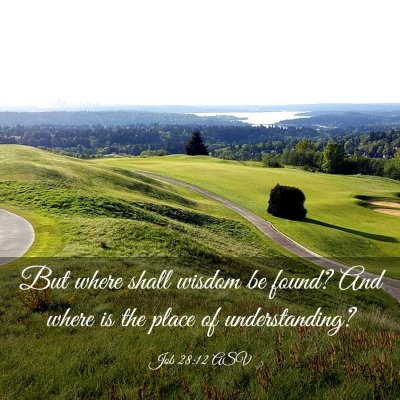 Picture 03 - Job 28:12 ASV - But where shall wisdom be found? And where is the - Bible Verse Picture