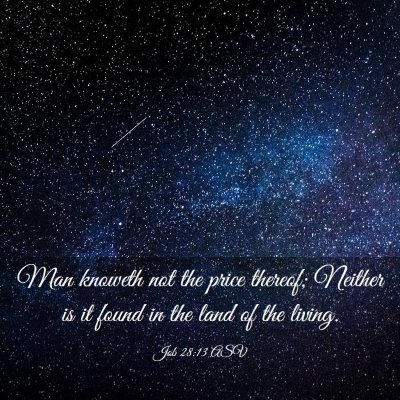 Picture 03 - Job 28:13 ASV - Man knoweth not the price thereof; Neither is it - Bible Verse Picture