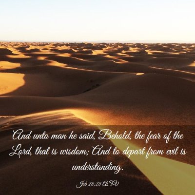 Picture 03 - Job 28:28 ASV - And unto man he said, Behold, the fear of the - Bible Verse Picture
