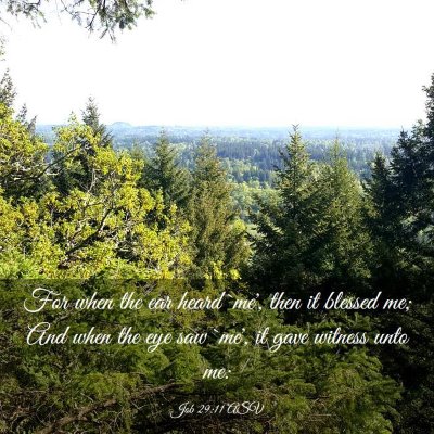 Picture 03 - Job 29:11 ASV - For when the ear heard `me', then it blessed me; - Bible Verse Picture