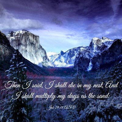 Picture 03 - Job 29:18 ASV - Then I said, I shall die in my nest, And I shall - Bible Verse Picture