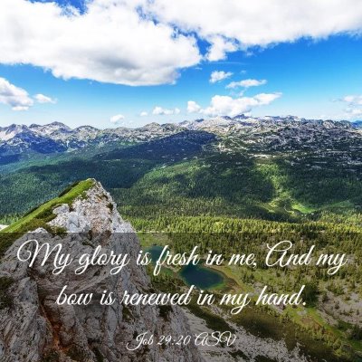 Picture 03 - Job 29:20 ASV - My glory is fresh in me, And my bow is renewed in - Bible Verse Picture