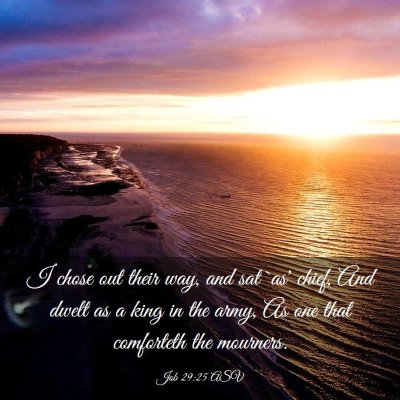 Picture 03 - Job 29:25 ASV - I chose out their way, and sat `as' chief, And - Bible Verse Picture