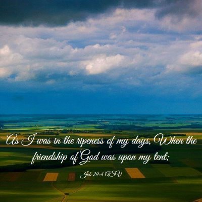 Picture 03 - Job 29:4 ASV - As I was in the ripeness of my days, When the - Bible Verse Picture