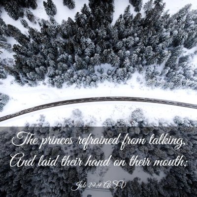 Picture 03 - Job 29:9 ASV - The princes refrained from talking, And laid - Bible Verse Picture