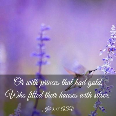 Picture 03 - Job 3:15 ASV - Or with princes that had gold, Who filled their - Bible Verse Picture