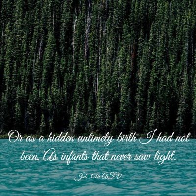 Picture 03 - Job 3:16 ASV - Or as a hidden untimely birth I had not been, As - Bible Verse Picture
