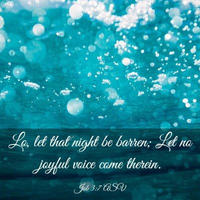 Picture 03 - Job 3:7 ASV - Lo, let that night be barren; Let no joyful voice - Bible Verse Picture