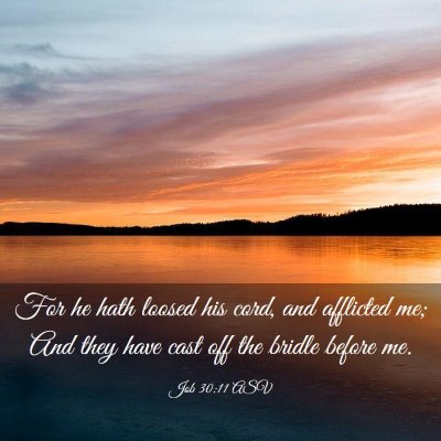 Picture 03 - Job 30:11 ASV - For he hath loosed his cord, and afflicted me; - Bible Verse Picture
