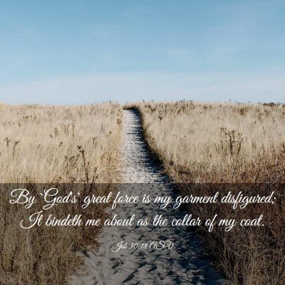 Picture 03 - Job 30:18 ASV - By `God's' great force is my garment disfigured; - Bible Verse Picture