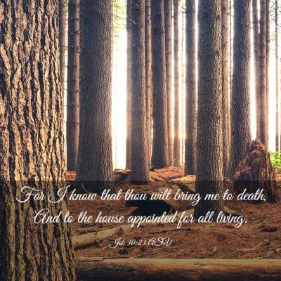 Picture 03 - Job 30:23 ASV - For I know that thou wilt bring me to death, And - Bible Verse Picture