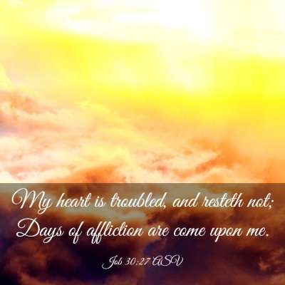 Picture 03 - Job 30:27 ASV - My heart is troubled, and resteth not; Days of - Bible Verse Picture