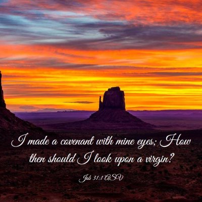 Picture 03 - Job 31:1 ASV - I made a covenant with mine eyes; How then should - Bible Verse Picture