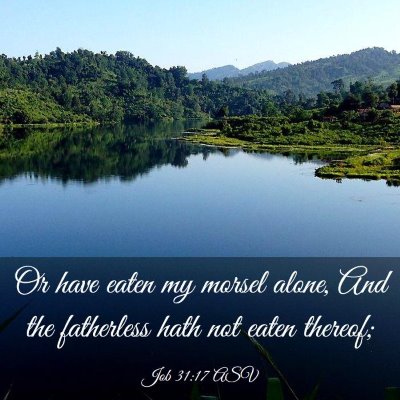 Picture 03 - Job 31:17 ASV - Or have eaten my morsel alone, And the fatherless - Bible Verse Picture
