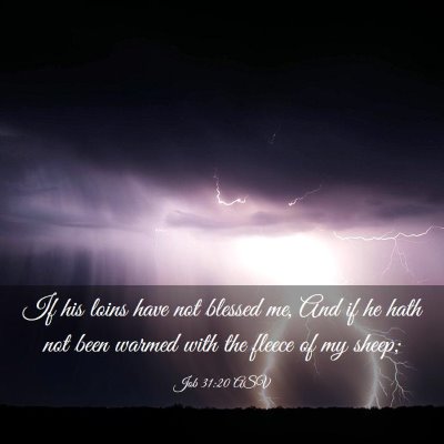 Picture 03 - Job 31:20 ASV - If his loins have not blessed me, And if he hath - Bible Verse Picture