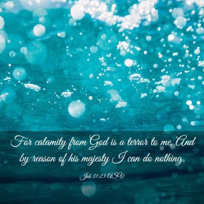 Picture 03 - Job 31:23 ASV - For calamity from God is a terror to me, And by - Bible Verse Picture
