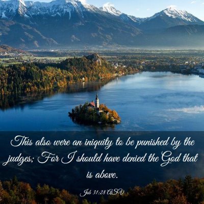 Picture 03 - Job 31:28 ASV - This also were an iniquity to be punished by the - Bible Verse Picture