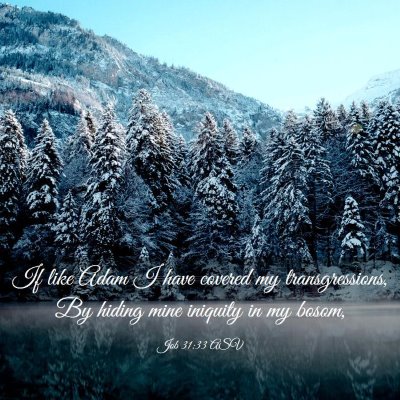Picture 03 - Job 31:33 ASV - If like Adam I have covered my transgressions, By - Bible Verse Picture